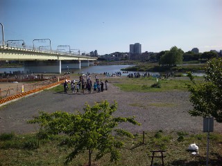 090426_151638_ed.jpg